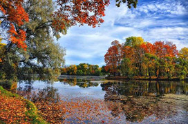 Mùa thu nước Nga: Những hình ảnh mê đắm lòng người