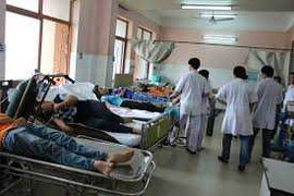 48 công nhân ngộ độc sau khi ăn rau ngót bẩn