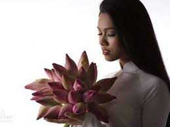 Hoa sen trong tâm thức người Việt