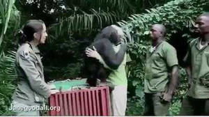 Cảm động clip chú tinh tinh từ giã ân nhân