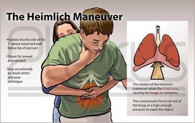 Nhẫn hột của bà nằm trong bụng cháu