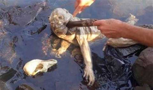 Phát hiện sinh vật lạ như 'quỷ hút máu dê' ở Paraguay