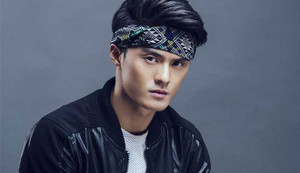 Lâm Vinh Hải - Con ong chăm chỉ của showbiz Việt