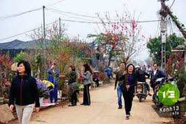 Tết Bính Thân 2016 được nghỉ 9 ngày