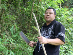 Giải mã bài thuốc gút thần kỳ của ông lang người Giáy