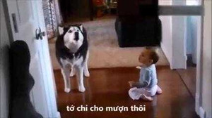 Những video hot nhất trên Facebook ngày 4/11