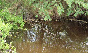 Mâu thuẫn với mẹ chồng, con dâu sát hại cháu rồi phi tang