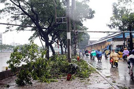 Phố phường Sài Gòn ngập nặng, hàng loạt cây xanh gãy đổ