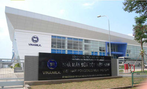 Giá trị 'con bò sữa tỷ đô' Vinamilk còn nằm ở đâu?