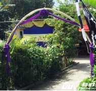 Bố mẹ đi ăn cưới, con gái ở nhà uống thuốc sâu tự tử