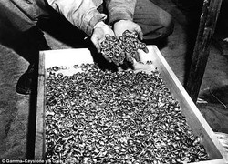 Ba Lan tìm kiếm đoàn tàu chở vàng của Đức quốc xã