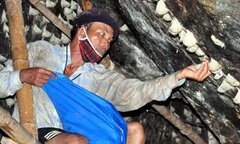Khai thác yến sào tự nhiên phải nộp thuế tài nguyên