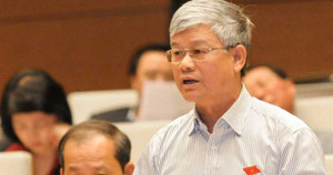 Đại biểu Quốc hội: 'Báo cáo 95% đến 97% cử tri đi bầu là không thật'