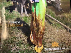 Tranh cãi hình bảo tháp trên áo dài, Vietnam Airlines thu hồi tạp chí Heritage