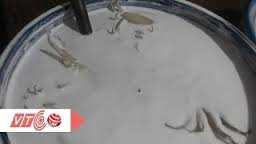 Video: Kinh hoàng hoá chất lạ ngâm cá, mực để tăng trọng lượng