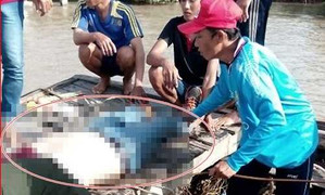 Ca nô đâm trụ cầu hất tung 9 người, 2 người chết tại chỗ