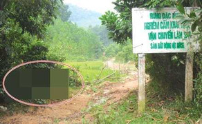 Tưởng nhầm lợn rừng, bắn chết bạn đi săn