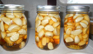 Đã tìm ra 'thần dược' chữa được nhiều căn bệnh nguy hiểm