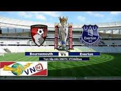 Trực tiếp AFC Bournemouth Vs Everton, Vòng 14, Ngoại hạng Anh, 22h ngày 28/11/2015