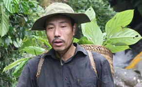 Ông lang phố núi chữa khỏi 3 vạn người bị bệnh dạ dày