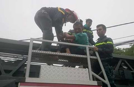 Giải cứu người đàn ông trèo lên cây gào thét