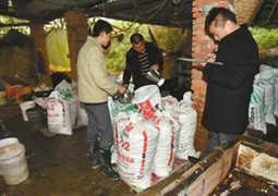 Kinh hoàng cơ sở sản xuất khoai môn sử dụng chất ăn mòn ruột