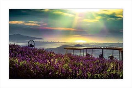 Du lịch Bà Nà Hills chỉ với 920.000 đồng