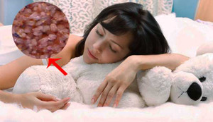 Cả đêm bạn ngủ với 10 triệu sinh vật lúc nhúc đầy giường mà không biết