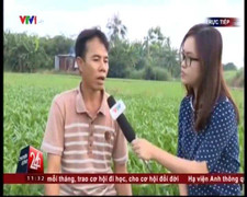 Thực hư việc tưới ruộng rau bằng nhớt thải ở TP.HCM