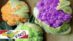 Thực phẩm 'biến đổi gen' phải ghi rõ trên nhãn