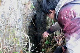 Bí ẩn hang động chôn giấu 70 thúng vàng bạc ở Cao Bằng