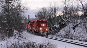 Những video hot nhất trên Facebook ngày 7/12