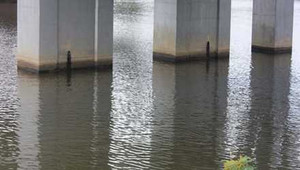 Nam thanh niên rơi xuống sông Hương tử vong: Đã tìm ra nguyên nhân