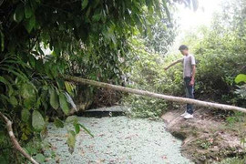 Những chuyện kỳ bí về 'hang nuốt người' ở Lào Cai