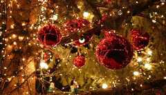 7 xóm đạo Sài Gòn lung linh nhất mùa Noel