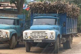 Việt Nam có gần 21.000 ô tô hết 'đát' chỉ còn vài tuần được phép lăn bánh