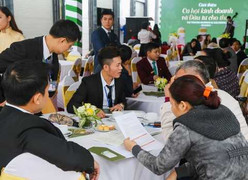 Hàng trăm khách hàng tìm cơ hội đầu tư nhà phố thương mại tại Hải Phòng