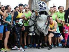 Thông điệp bảo vệ tê giác của người Hà Nội