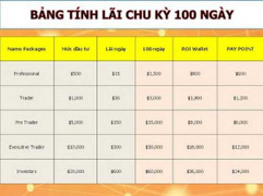 Mất trắng tiền tỷ vì đầu tư vào trang mạng 'ảo'