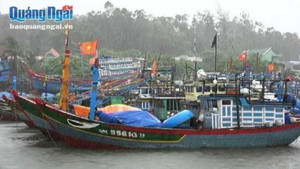 Ảnh hưỡng bão Melor, gần 100 hành khách mắc kẹt trên đảo Lý Sơn