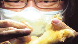 Những nghề nghiệp kỳ lạ, nhàn hạ và thu nhập ‘không phải nghĩ’