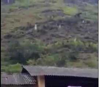 Clip: Tuyết bắt đầu rơi ở Hà Giang khiến nhiều người phấn khích