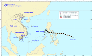 Diễn biến cuối cùng của cơn bão số 5 trên Biển Đông