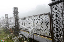 Choáng ngợp cảnh băng giá phủ trắng Sa Pa