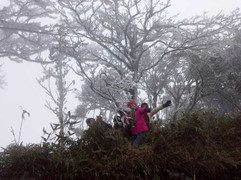 Nhiệt độ tiếp tục giảm mạnh, Hà Nội lạnh đến bao giờ?