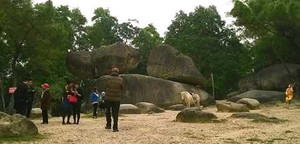 Hành vi vô văn hóa, ăn cướp trắng trợn ở Sầm Sơn