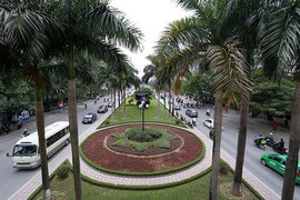 Cây xanh, thảm cỏ trên tuyến đường đẹp ở thủ đô bị phá bỏ