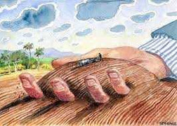 Đà Nẵng trả lại tiền thuế sử dụng đất do thu sai