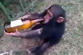 Những video hot nhất trên Facebook ngày 21/12