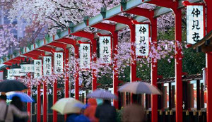 22 điều yêu thích khi bạn du lịch đến Nhật Bản